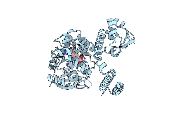 5W7P image
