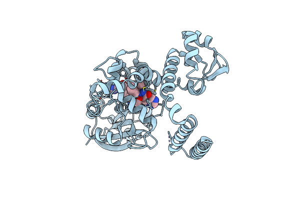 5W7R image