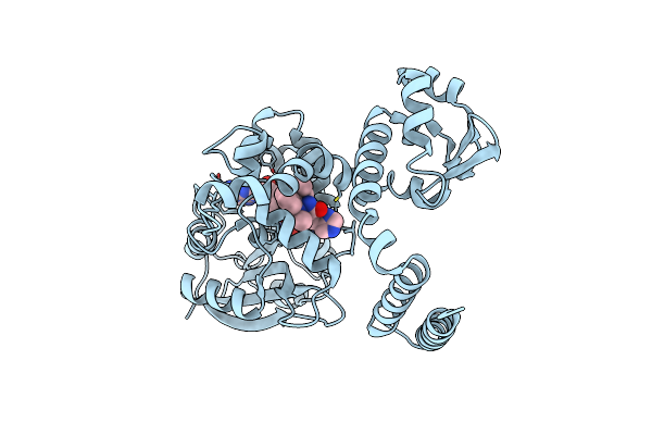 5W7S image