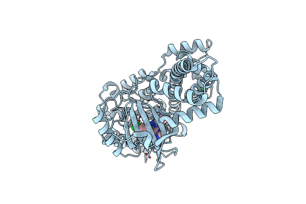 5W80 image