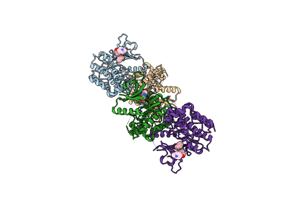 5W86 image