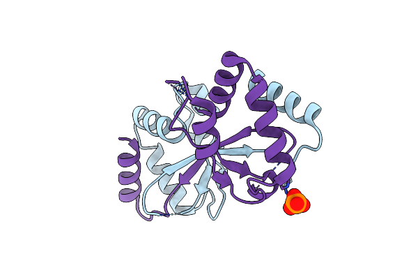 5W87 image