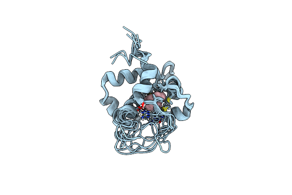 5W88 image