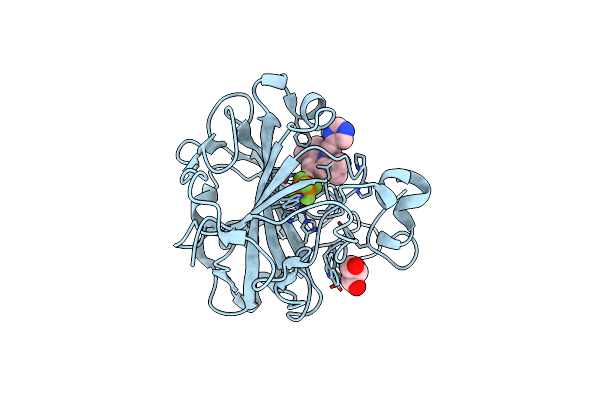 5W8B image