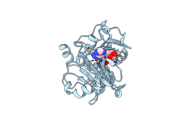 5W8D image