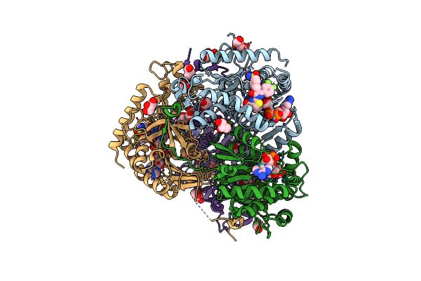 5W8K image
