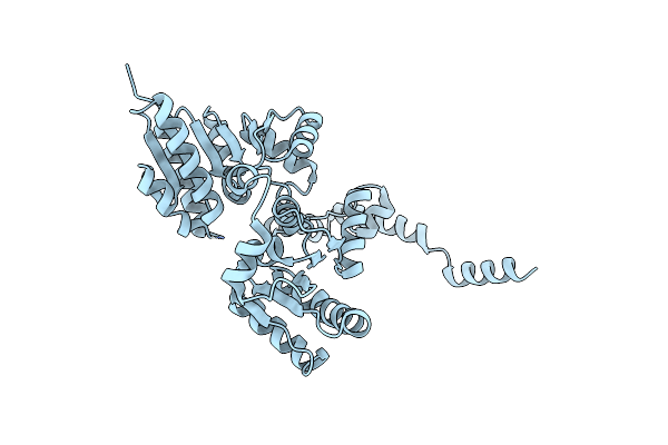 5W8N image