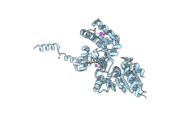 5W8S image