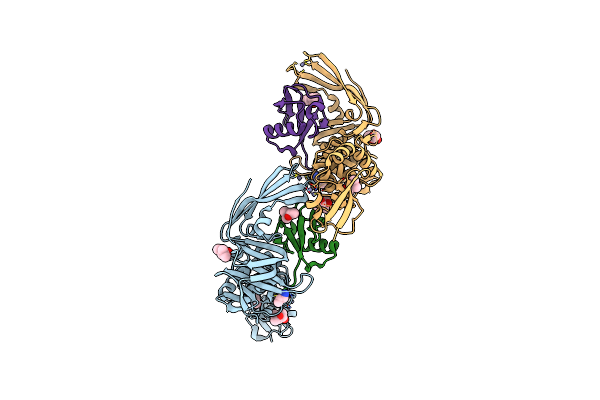 5W8U image