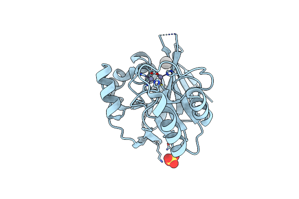 5W8W image