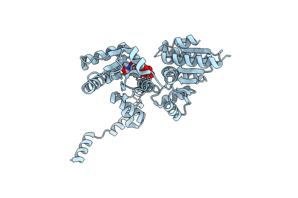 5W8X image
