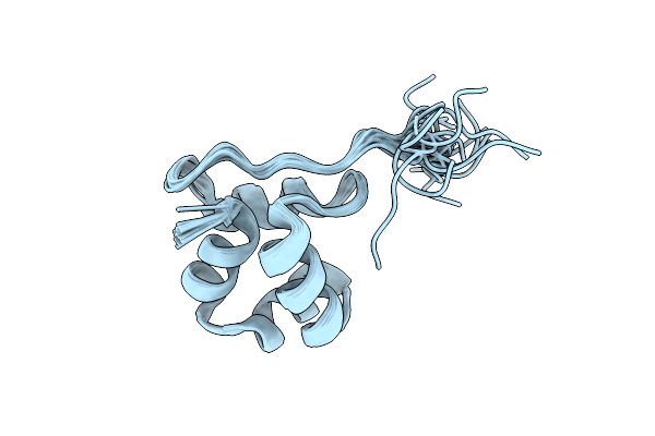 5W8Y image