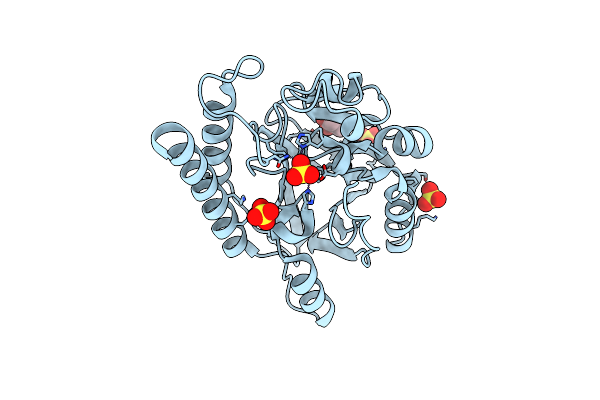 5W90 image