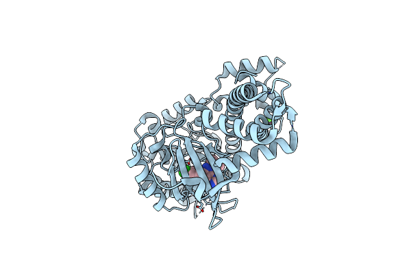 5W91 image