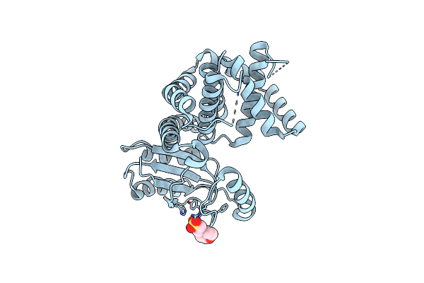 5W98 image