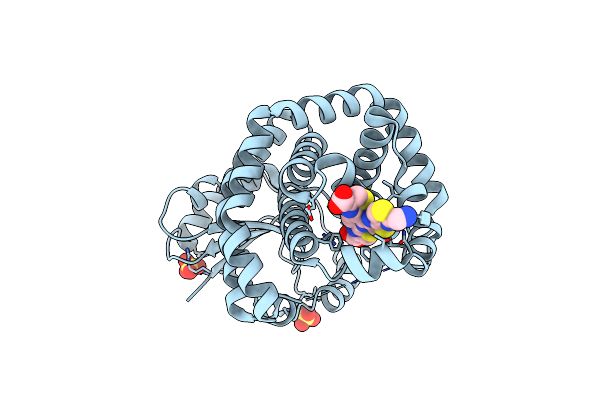 5W99 image