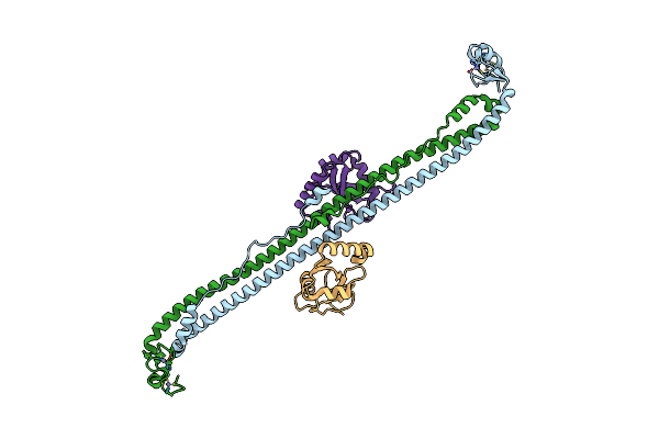 5W9A image