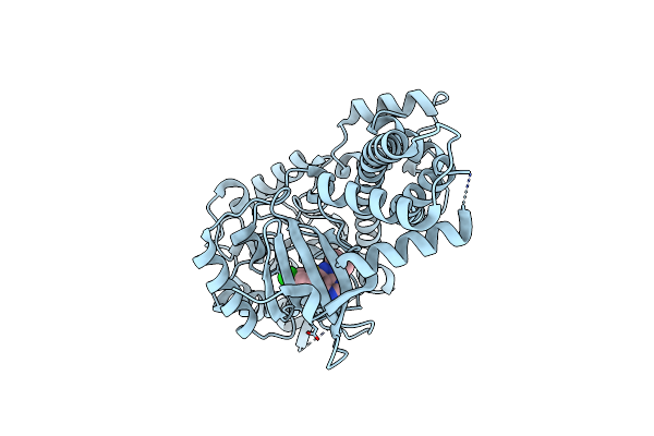 5W9E image