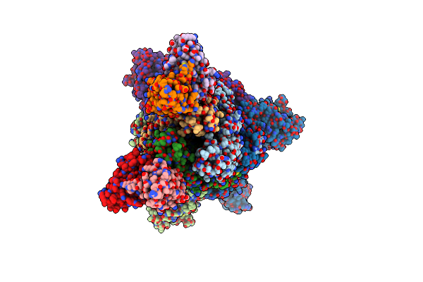 5W9L image