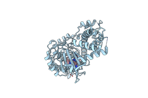 5W9R image