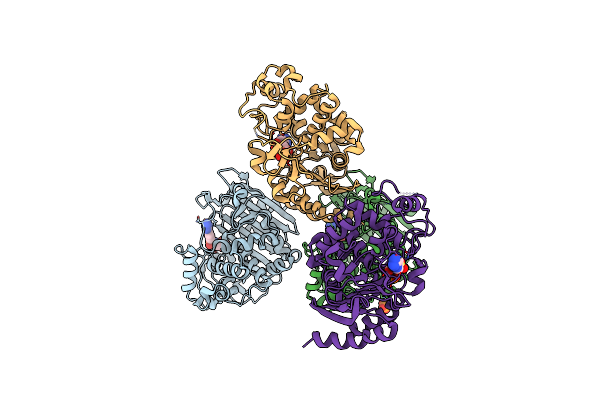 5WAD image