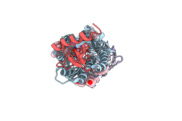 5WB2 image