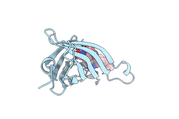 5WBA image