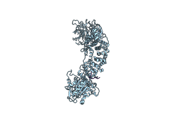 5WBL image