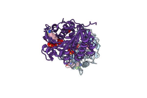 5WBR image