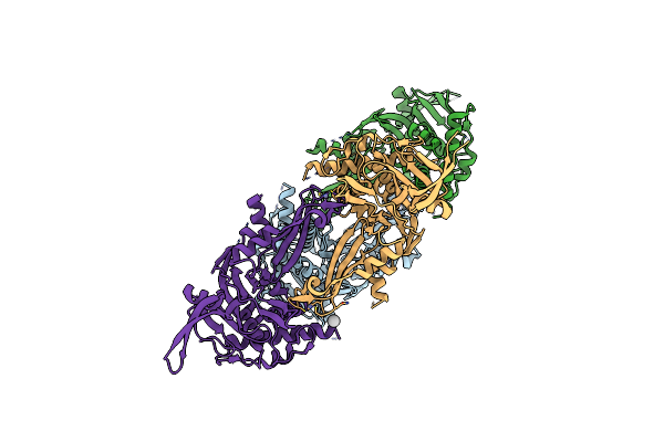 5WCH image