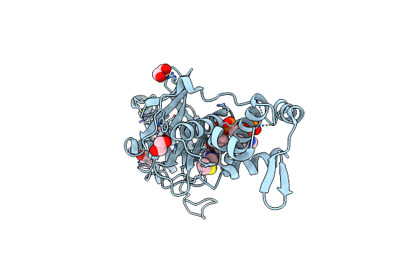 5WCI image