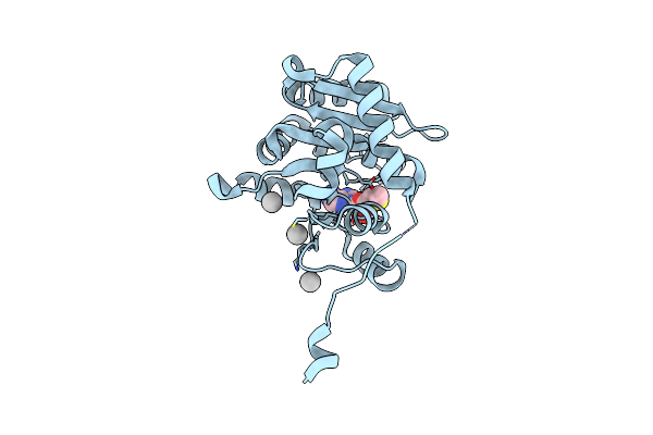 5WCJ image
