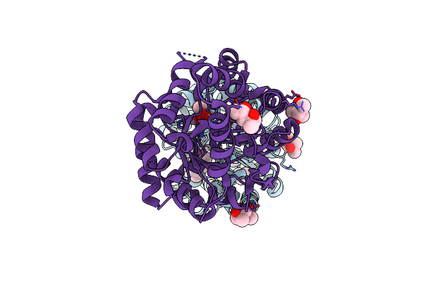 5WCP image