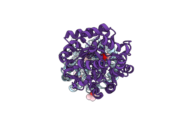 5WCR image
