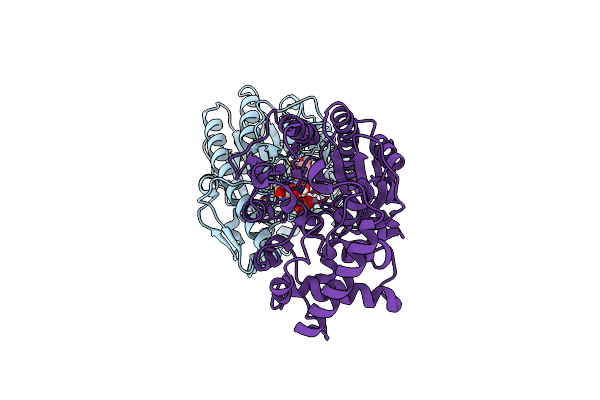 5WCX image