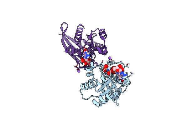 5WDR image