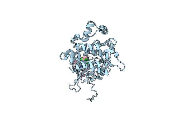 5WEV image
