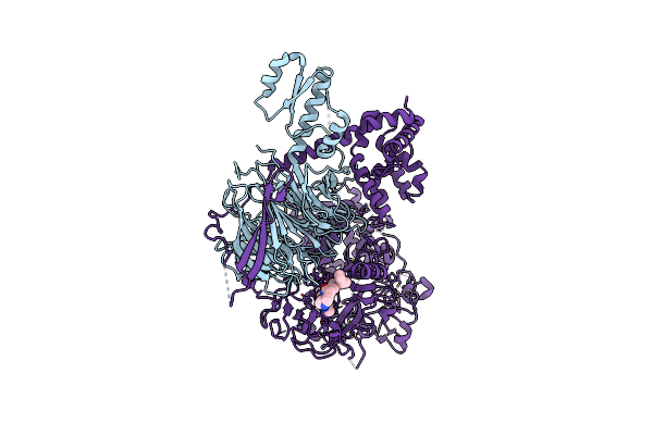 5WFD image