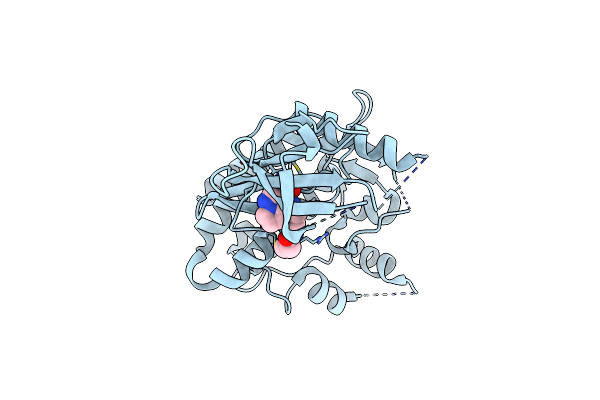 5WFJ image