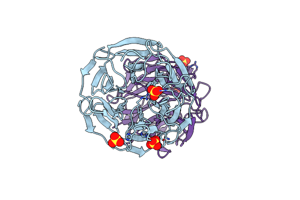 5WFL image