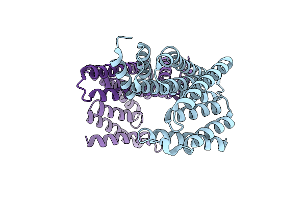 5WFX image