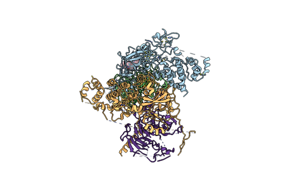 5WG6 image