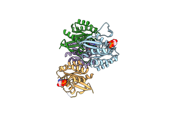 5WHD image