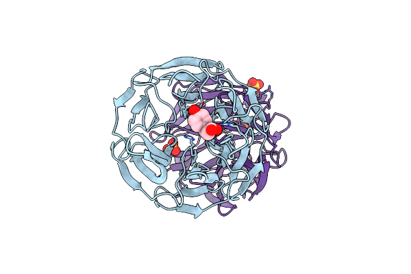 5WHL image