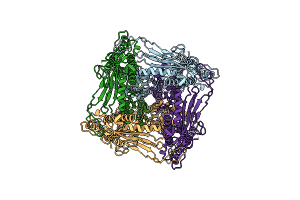 5WJ5 image