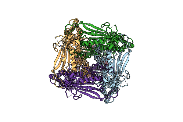 5WJ9 image