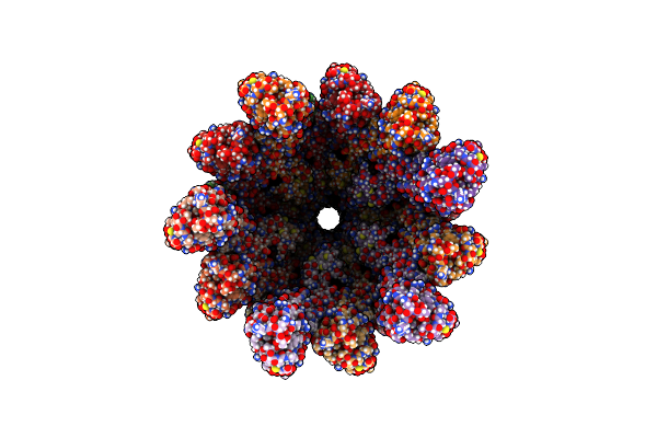 5WJV image