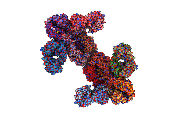 5WKO image