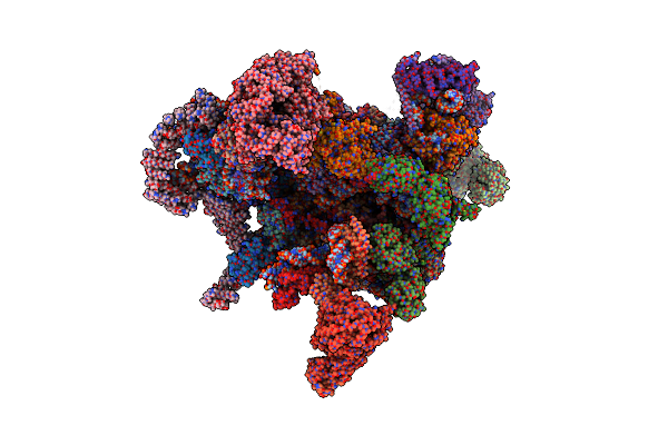 5WLC image
