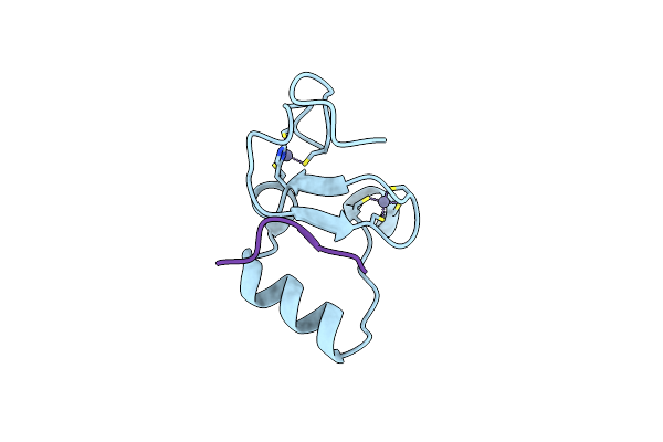 5WLE image